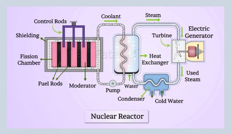 nuclear energy case study