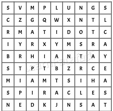 NCERT Solutions Class 7 Science CHapter 10 Q8 - Question-Square letters