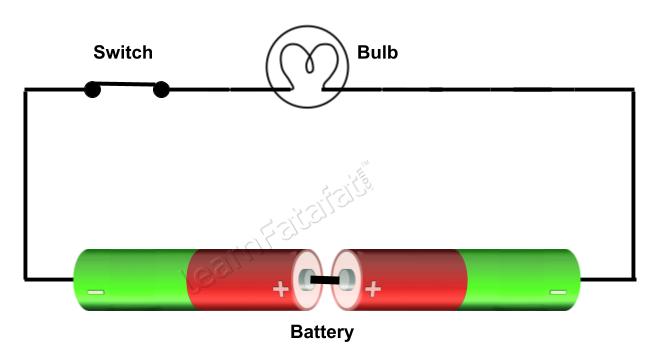 NCERT Solution Class 7 Science Chapter 14 Q4