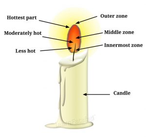 NCERT Solutions Class 8 Chapter 6 Q6 Candle diagram