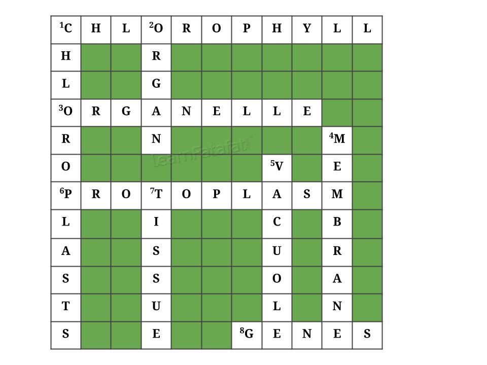 NCERT Solutions Class 8 Science Chapter 8 Q10_ans
