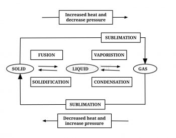 NCERT Solutions Class 9 Science Chapter 1 Q9_answer